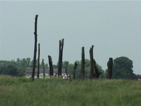 Kekerdom : Millingerwaard, Baummonumente